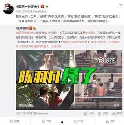 爆料视频会视同作品吗,法律视角下的“作品”认定新解读  第2张