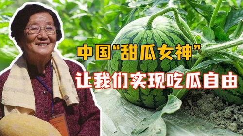 小说吃瓜女神全文阅读免费,娱乐圈的甜蜜瓜田  第3张